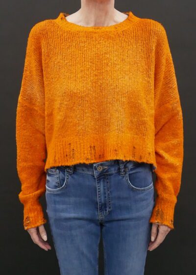 A Woman in an Orange Color Crop Sweater