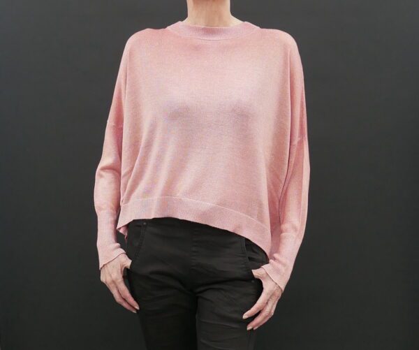 The Front of a Woman in a Pink Color Sweater